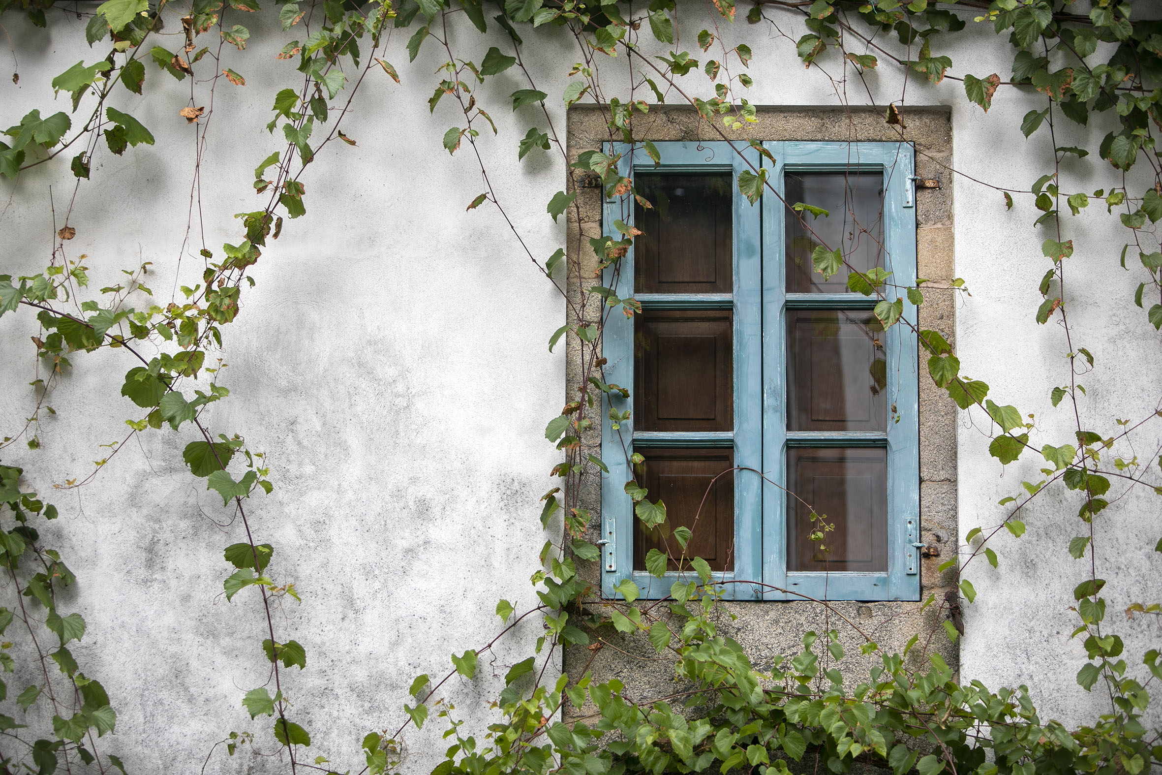 Rueda anuncia un novo plan para impulsar no rural a rehabilitación de vivendas e adaptar locais baleiros como fogares cun investimento de 5 M€ ata o 2027