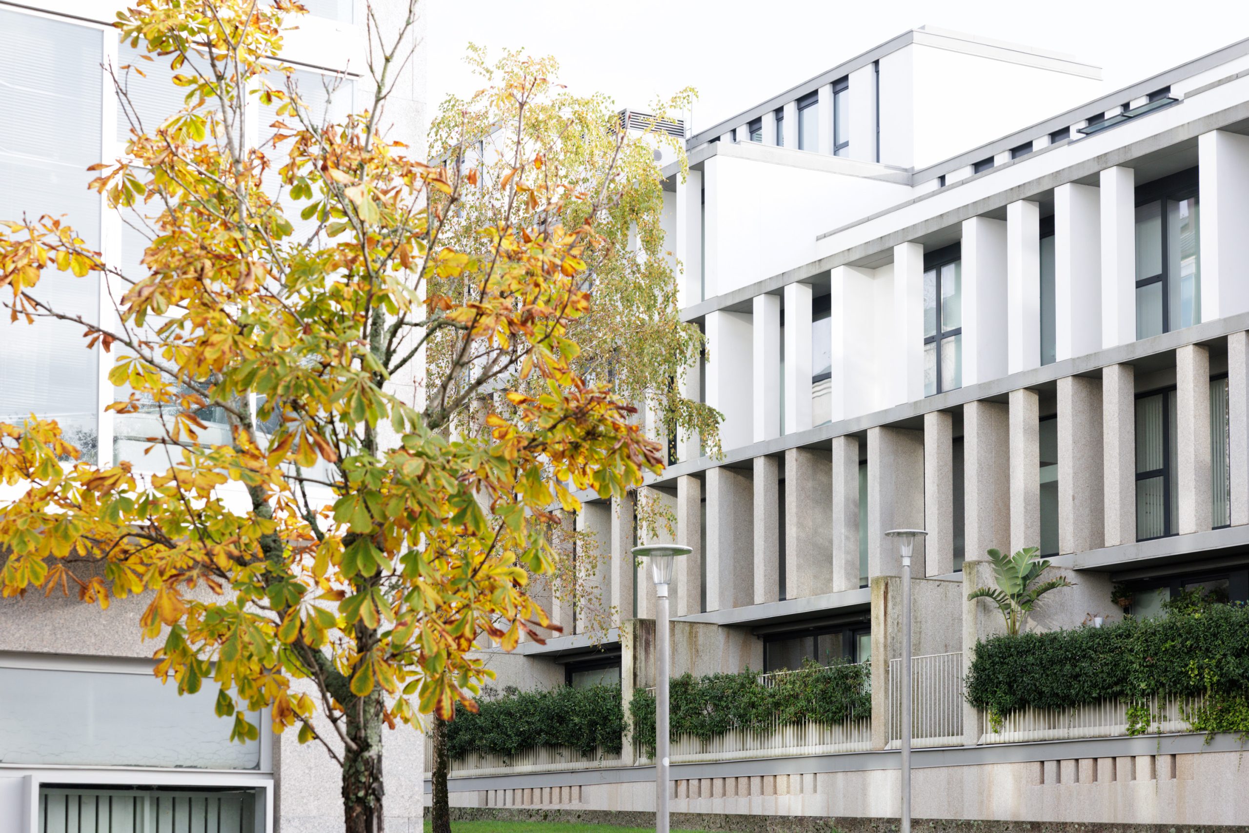 A Xunta recibe 13 ofertas para a construción de 48 vivendas de promoción pública en Valdecorvos, en Pontevedra, licitadas por 9,5 M€